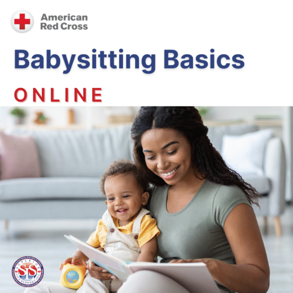 Babysitter Basics Online-OL